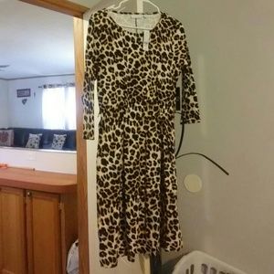 Leopard print 3/4 quarter sleeve dress.